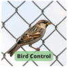 Bird Control