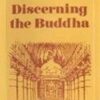 Discerning the Buddha Hardcover – 1 January 2009